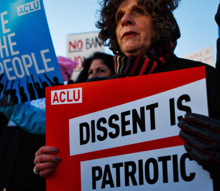 Person holding a Dissent is Patriotic sign