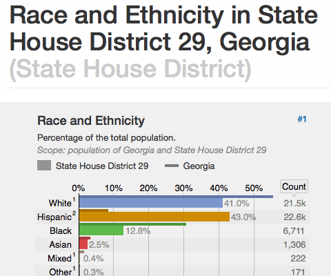 Race and Ethnicity in State House District 29, Georgia