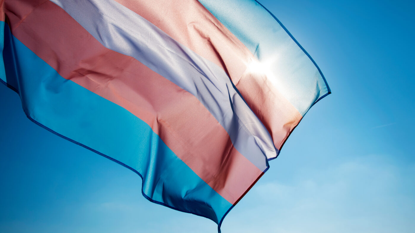 trans flag image