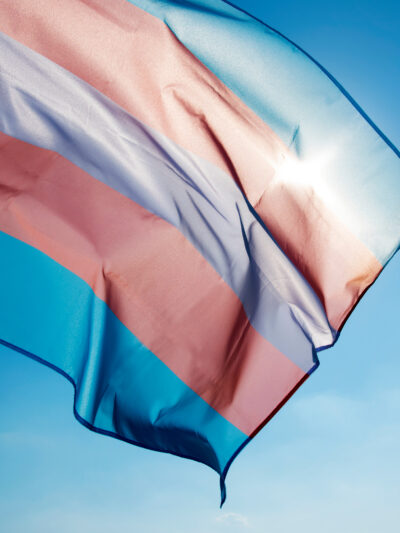 trans flag image