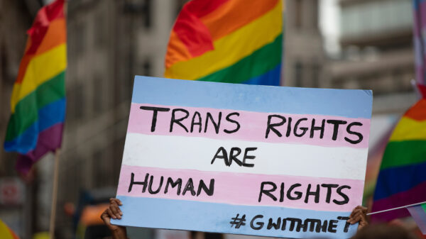 Stock image of sign reading trans rights are human rights