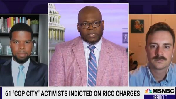 Christopher Bruce on MSNBC public safety center interview