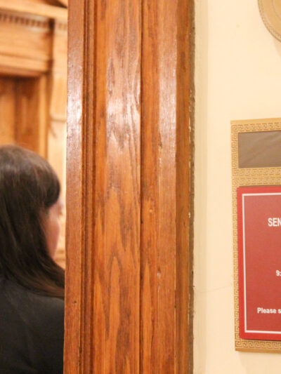 Generic photo of the Georgia Senate Chambers
