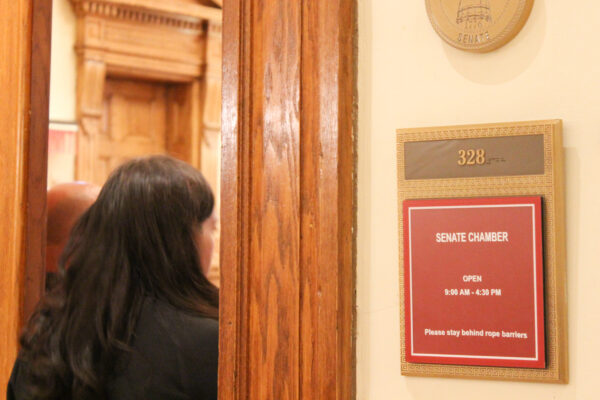 Generic photo of the Georgia Senate Chambers