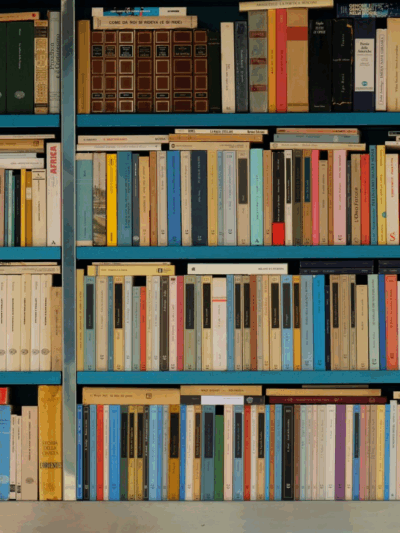 bookshelves at the library