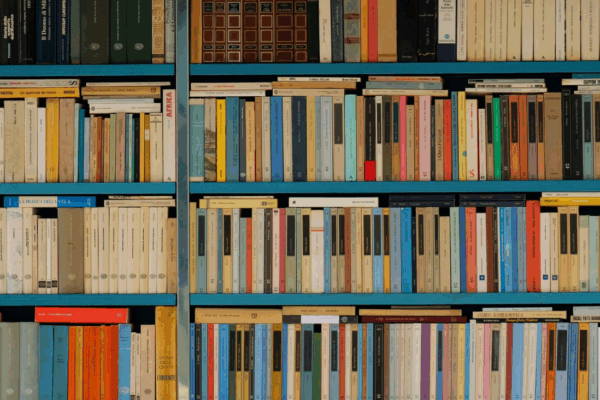 bookshelves at the library