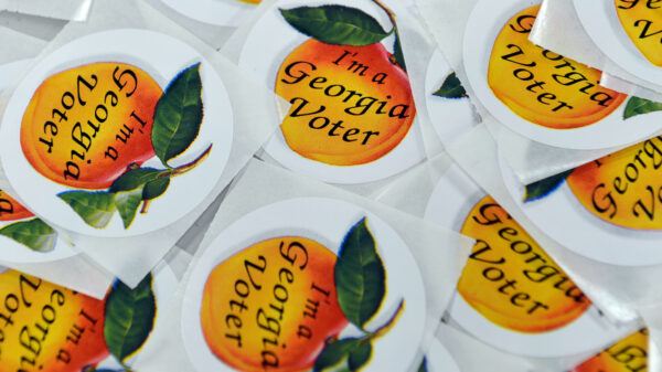 I'm a georgia voter stickers
