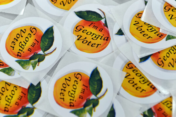 I'm a georgia voter stickers