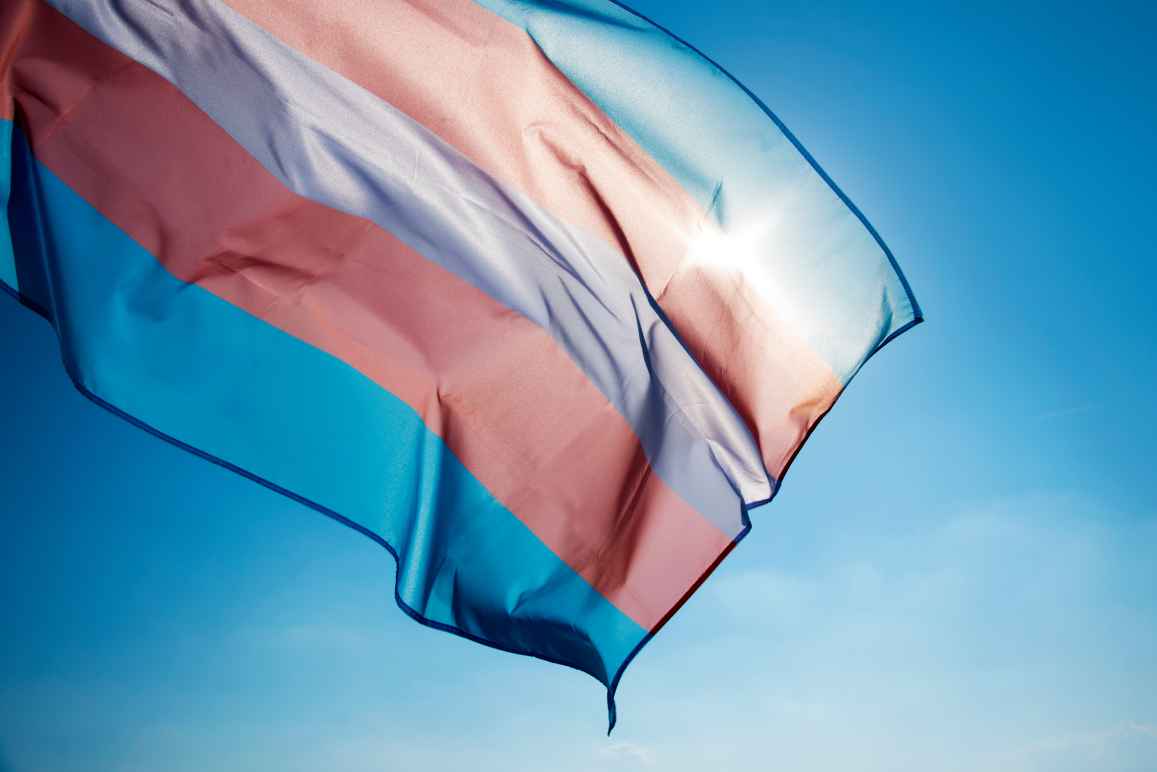 trans flag image