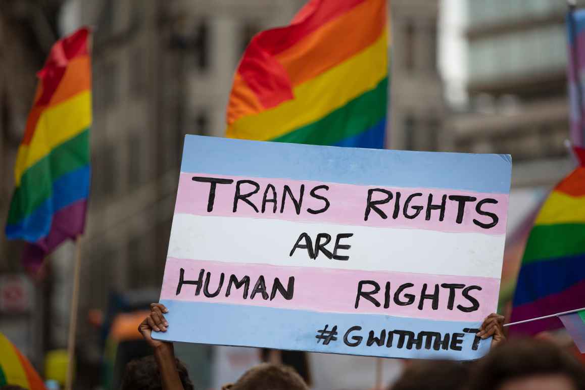 Stock image of sign reading trans rights are human rights