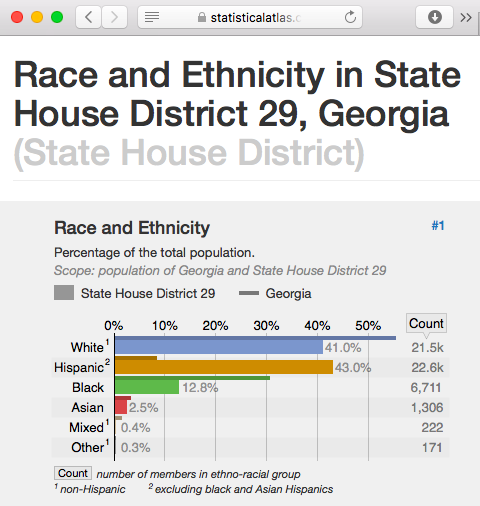 Race and Ethnicity in State House District 29, Georgia