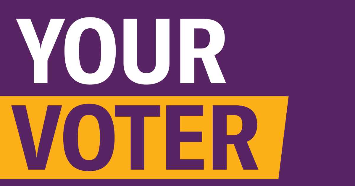 Voter Rights Aclu Of Georgia