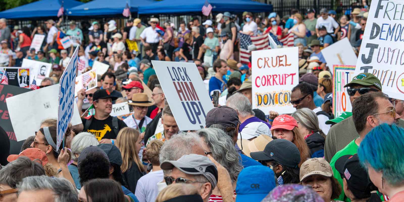 Photo of large crowd at No Kings rally