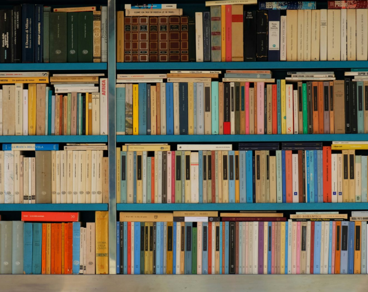 bookshelves at the library