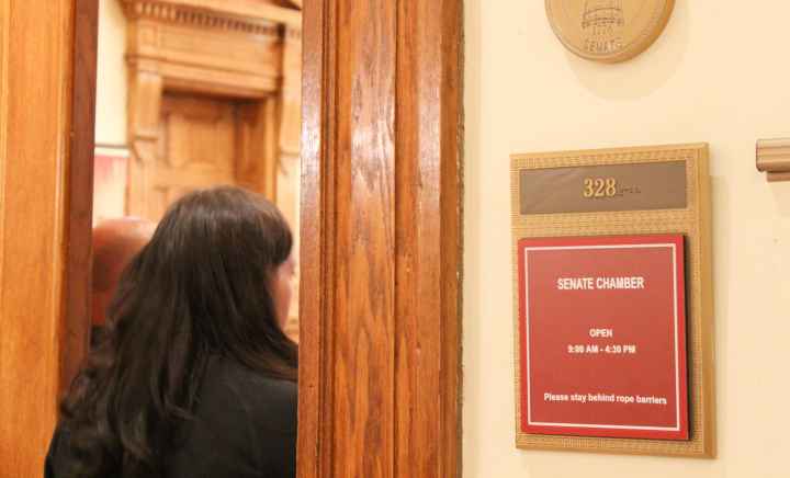 Generic photo of the Georgia Senate Chambers