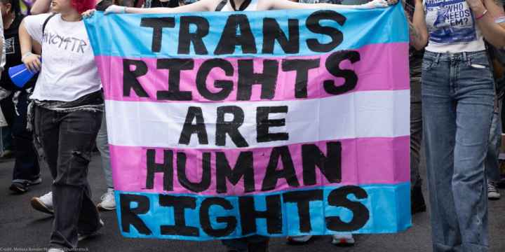 trans flag that says trans rights are human rights