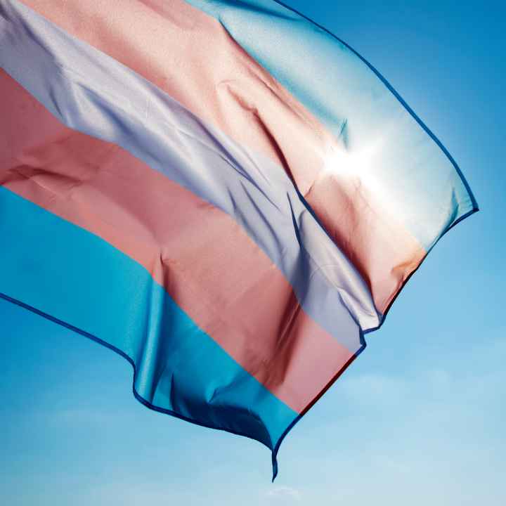 trans flag image