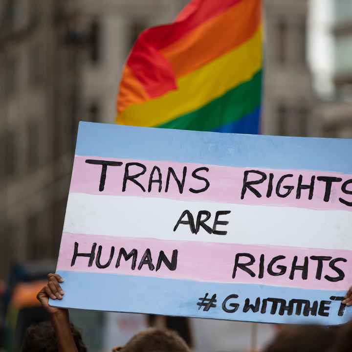 Stock image of sign reading trans rights are human rights
