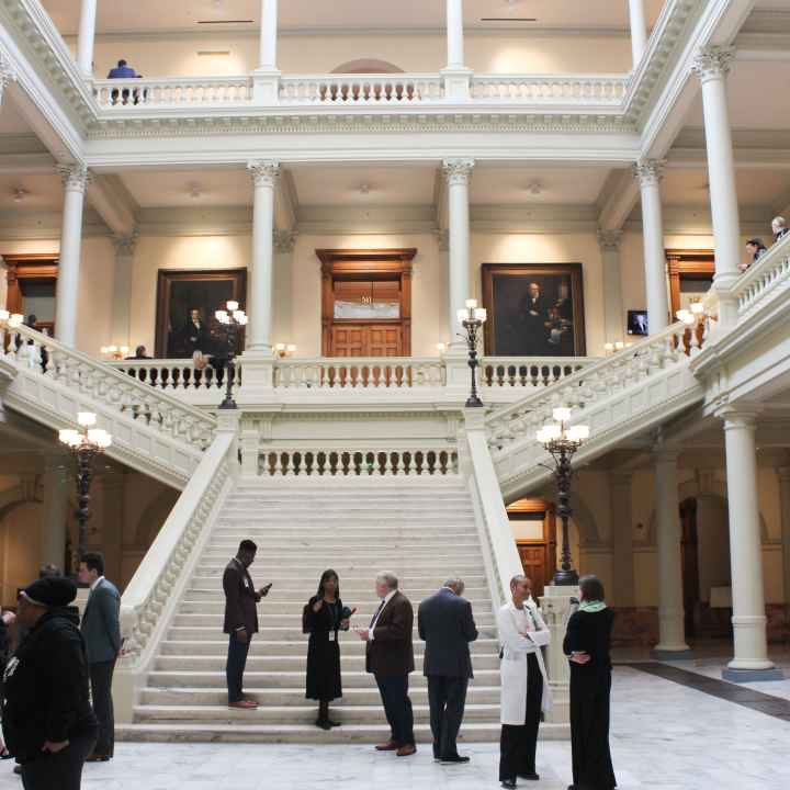 Georgia Capitol generic 3