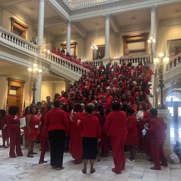 delta group on the capitol steps
