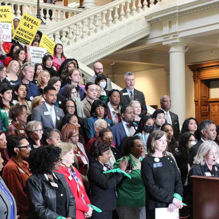 Members of the Georgia House and Senate & representing allies