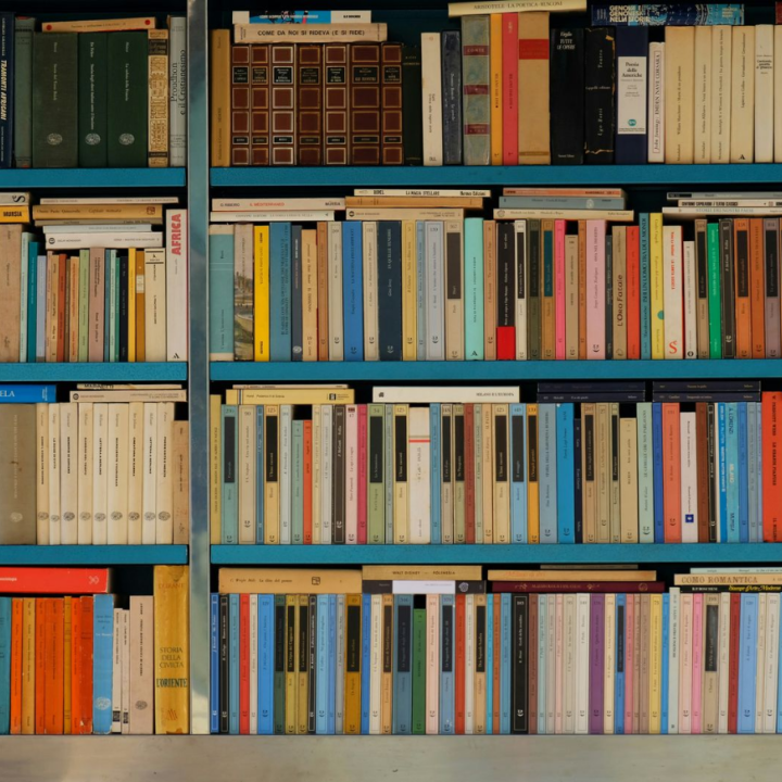 bookshelves at the library