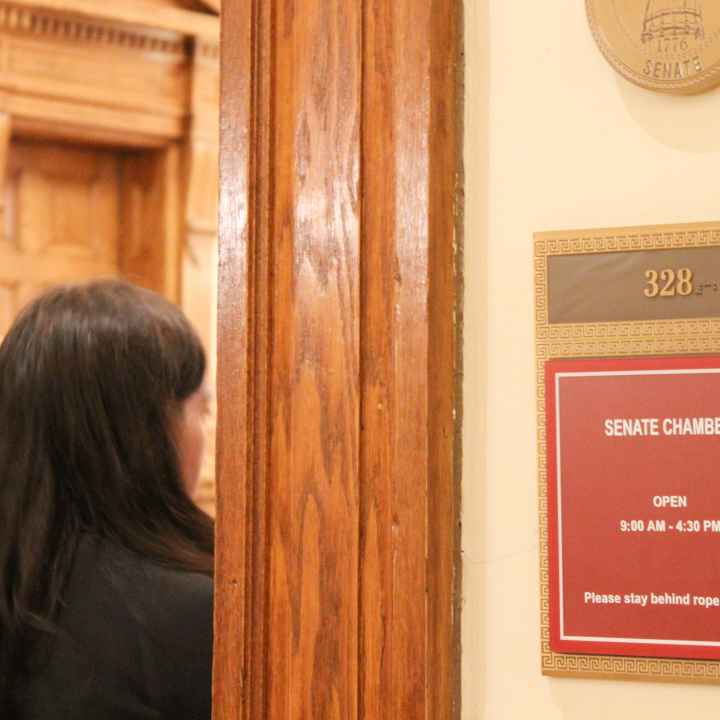 Generic photo of the Georgia Senate Chambers