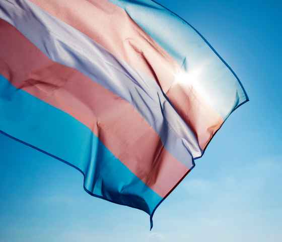 trans flag image